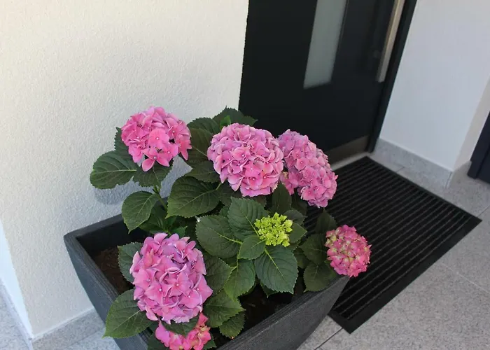 Alpenjuwel * Sankt Leonhard im Pitztal